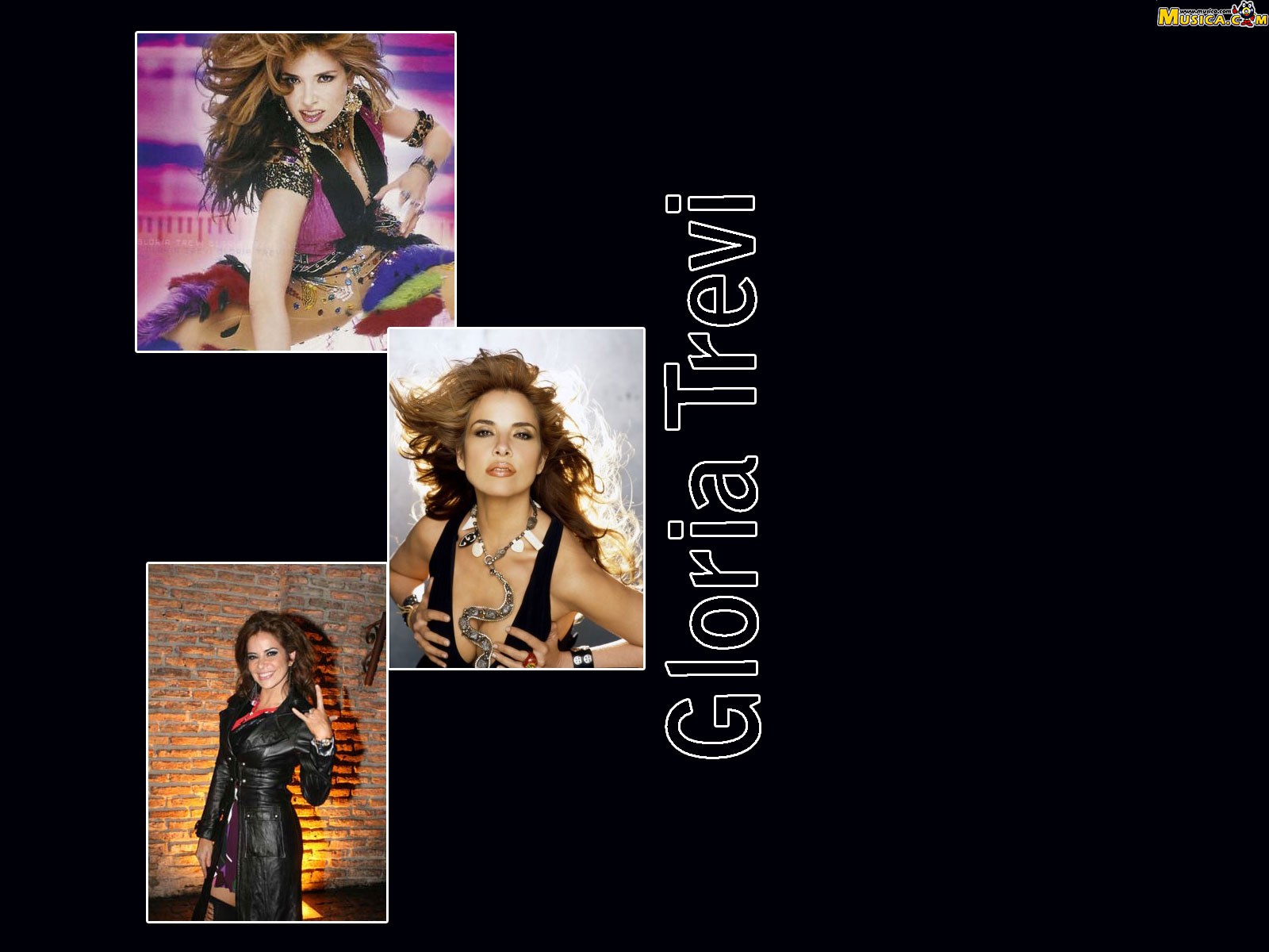 Fondo de pantalla de Gloria Trevi
