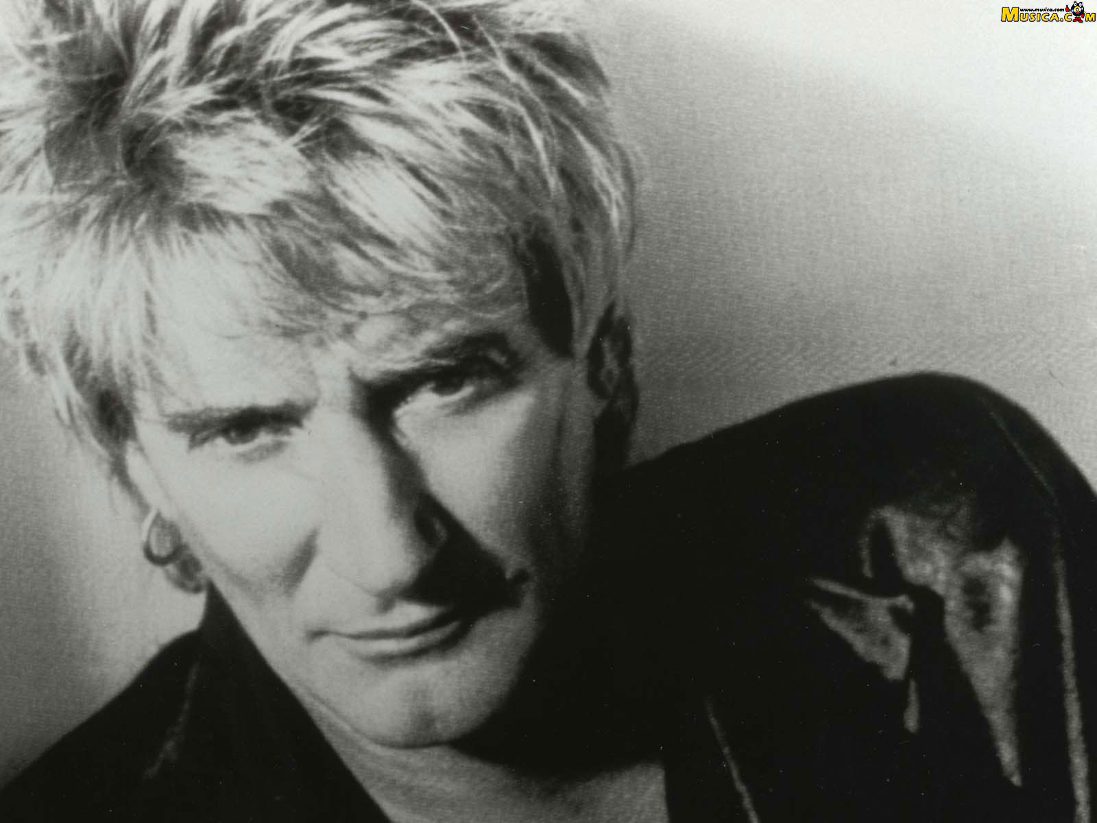 Fondo de pantalla de Rod Stewart