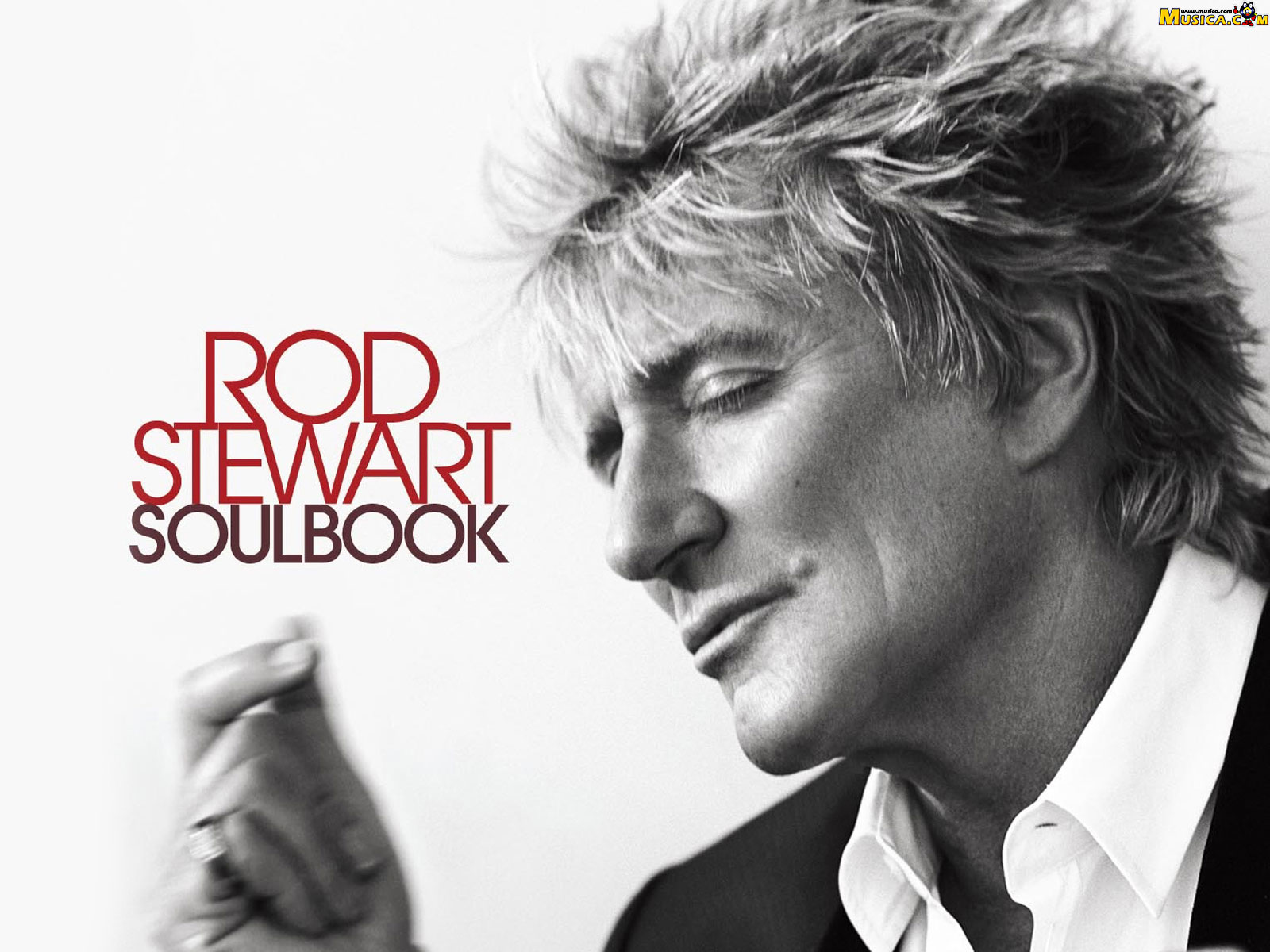 Fondo de pantalla de Rod Stewart